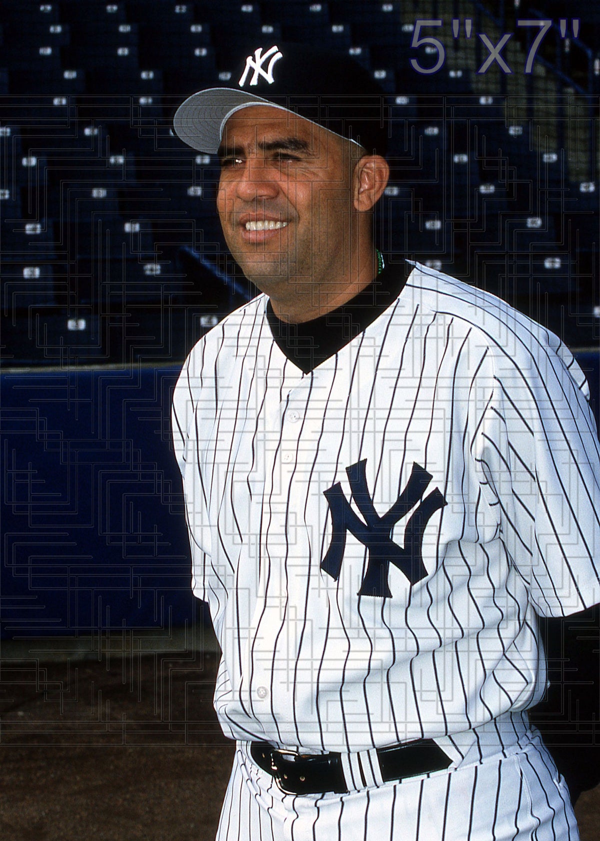 Luis Sojo - 2002 New York Yankees - choose a size & style
