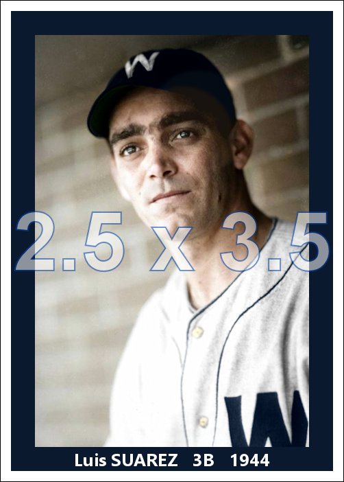 Luis Suarez - 1944 Washington Senators - choose a size & style