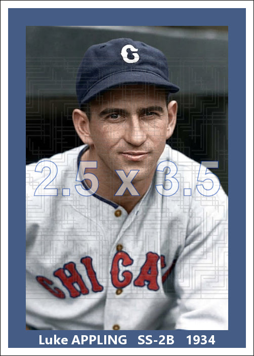 Luke Appling - 1934 Chicago White Sox - choose a size & style