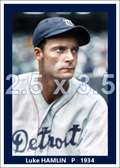 Luke Hamlin - 1934 Detroit Tigers - choose a size & style
