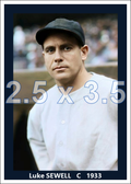 Luke Sewell - 1933 Washington Senators - choose a size & style