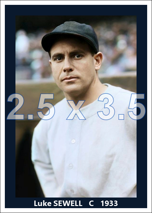 Luke Sewell - 1933 Washington Senators - choose a size & style