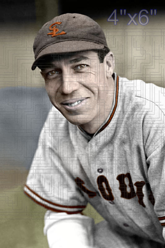 Lyn Lary - 1935 St. Louis Browns - choose a size & style
