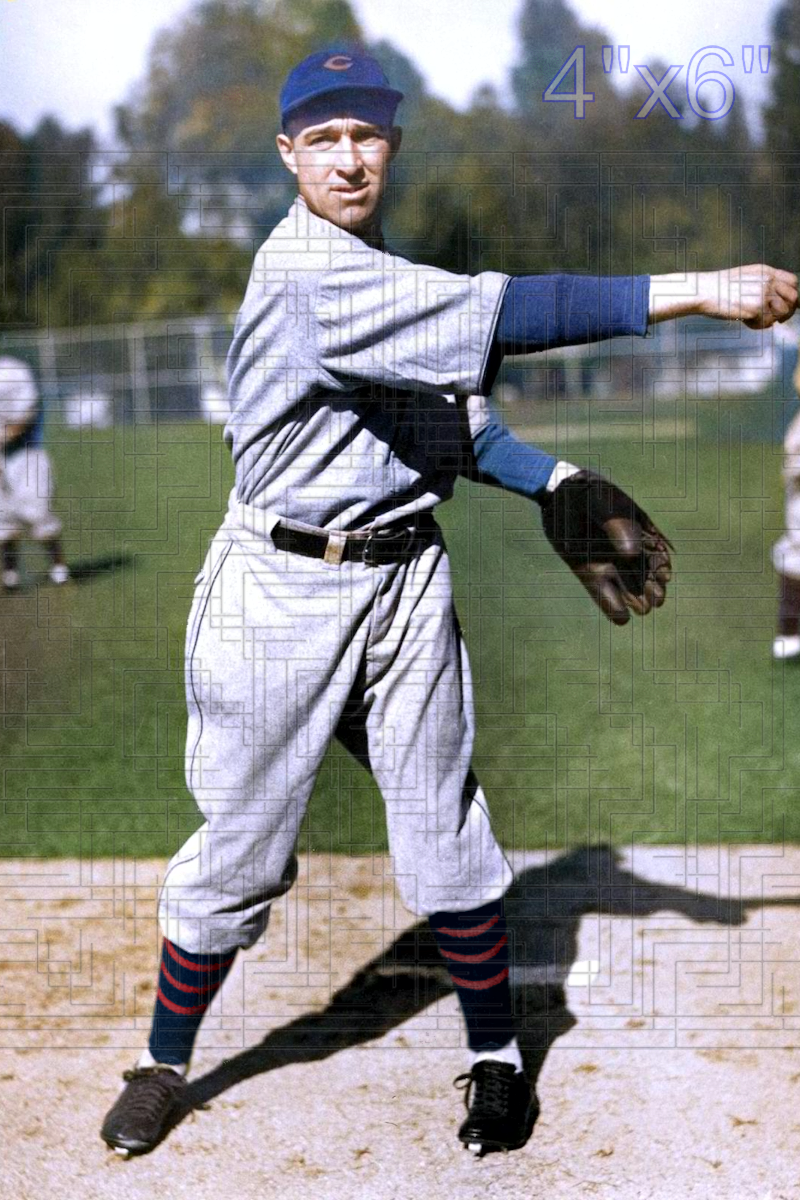 Lynn Nelson - 1933 Chicago Cubs - choose a size & style