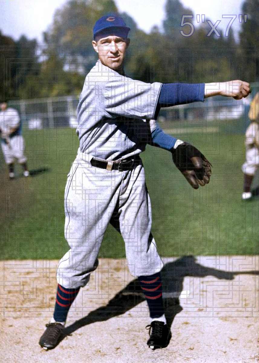 Lynn Nelson - 1933 Chicago Cubs - choose a size & style