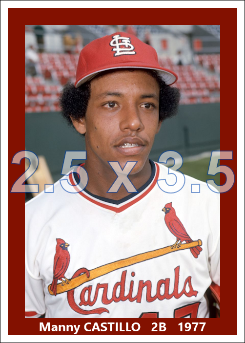Manny Castillo - 1977 St. Louis Cardinals - choose a size & style