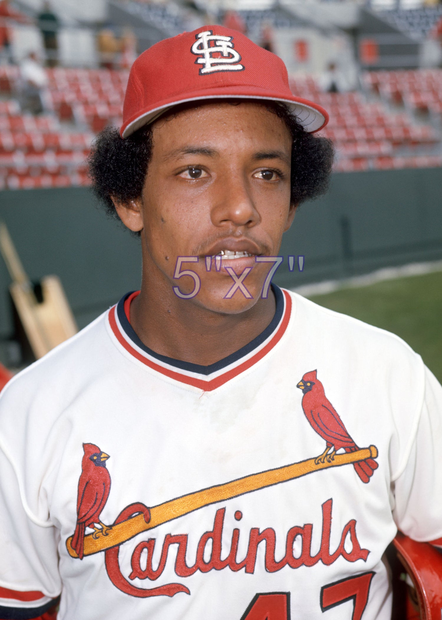 Manny Castillo - 1977 St. Louis Cardinals - choose a size & style