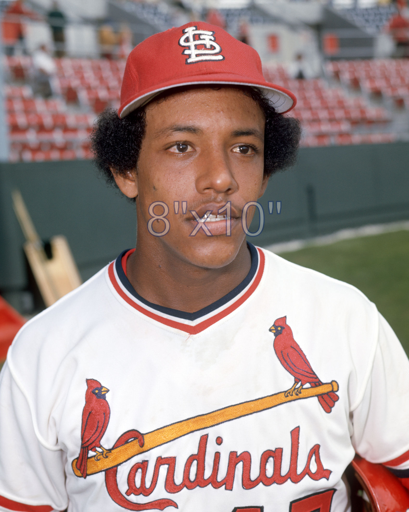 Manny Castillo - 1977 St. Louis Cardinals - choose a size & style