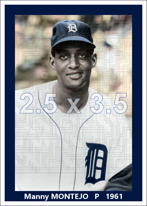 Manny Montejo - 1961 Detroit Tigers - choose a size & style