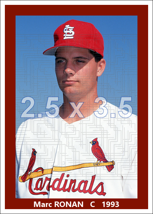 Marc Ronan - 1992 St. Louis Cardinals - choose a size & style