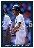 Marcus Lawton - 1989 New York Yankees - choose a size & style