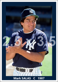 Mark Salas - 1987 New York Yankees - choose a size & style