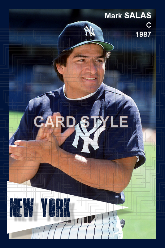 Mark Salas - 1987 New York Yankees - choose a size & style