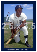 Marv Lane - 1971 Detroit Tigers - choose a size & style