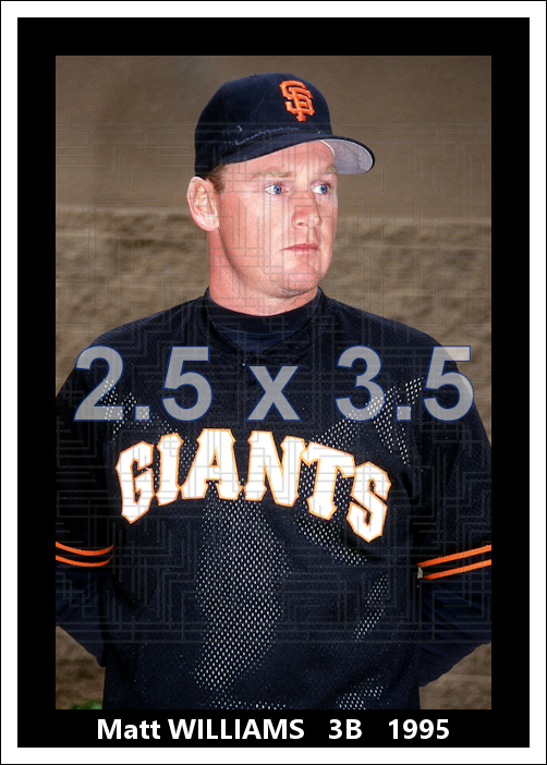 Matt Williams - 1995 San Francisco Giants - choose a size & style
