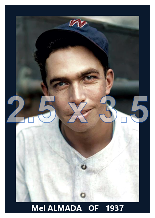 Mel Almada - 1937 Washington Senators - choose a size & style