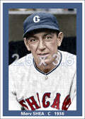 Merv Shea - 1936 Chicago White Sox - choose a size & style