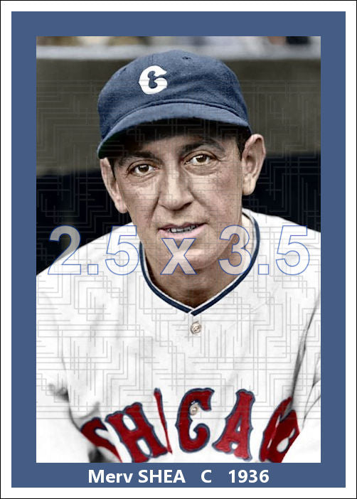Merv Shea - 1936 Chicago White Sox - choose a size & style