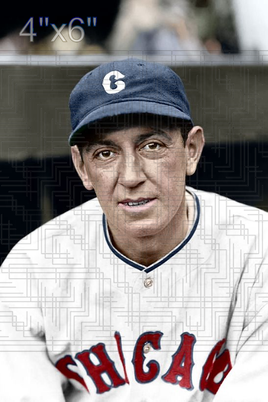 Merv Shea - 1936 Chicago White Sox - choose a size & style