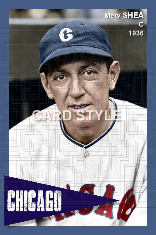 Merv Shea - 1936 Chicago White Sox - choose a size & style