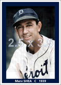 Merv Shea - 1939 Detroit Tigers - choose a size & style