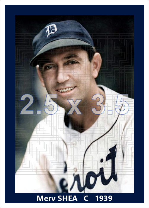 Merv Shea - 1939 Detroit Tigers - choose a size & style