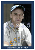 Mickey Haslin - 1936 Boston Bees - choose a size & style
