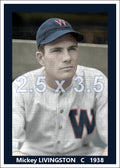 Mickey Livingston - 1938 Washington Senators - choose a size & style
