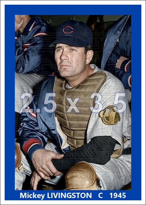 Mickey Livingston - 1945 Chicago Cubs - choose a size & style