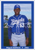 Miguel Asencio - 2002 Kansas City Royals - choose a size & style