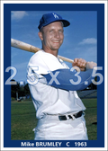 Mike Brumley - 1963 Los Angeles Dodgers - choose a size & style