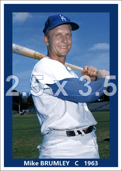 Mike Brumley - 1963 Los Angeles Dodgers - choose a size & style