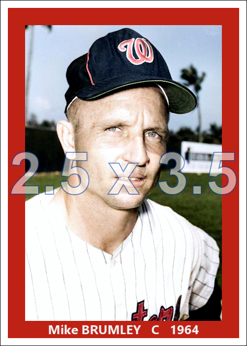 Mike Brumley - 1964 Washington Senators - choose a size & style