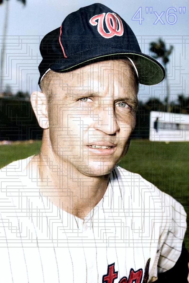 Mike Brumley - 1964 Washington Senators - choose a size & style