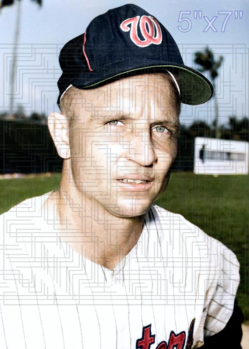Mike Brumley - 1964 Washington Senators - choose a size & style
