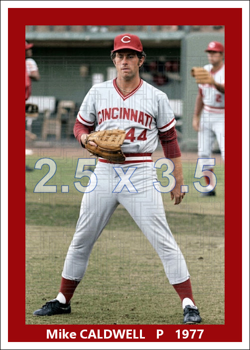 Mike Caldwell - 1977 Cincinnati Reds - choose a size & style