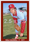Mike Caldwell - 1977 St. Louis Cardinals spring training - choose a size & style