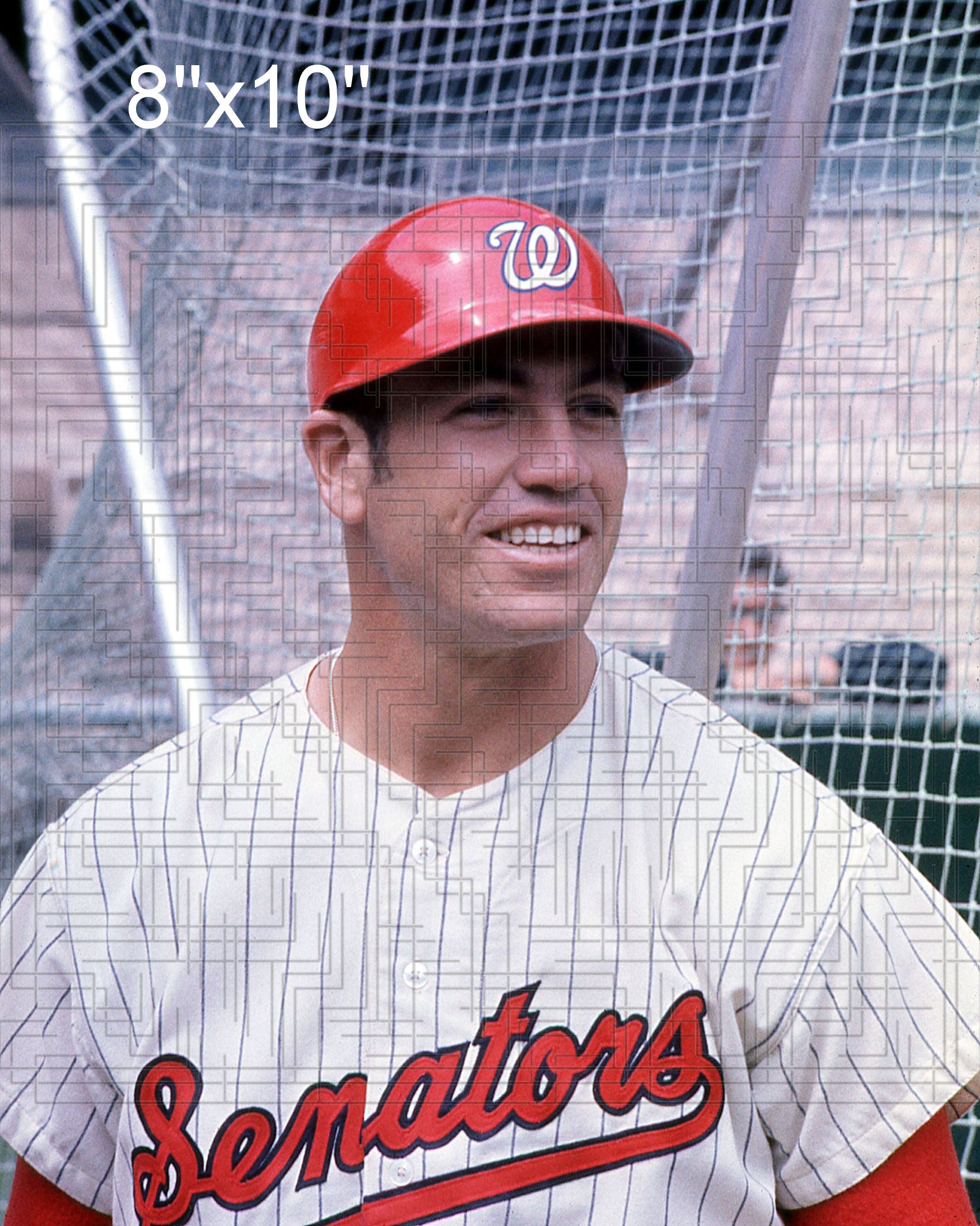 Mike Epstein - 1968 Washington Senators - choose a size & style