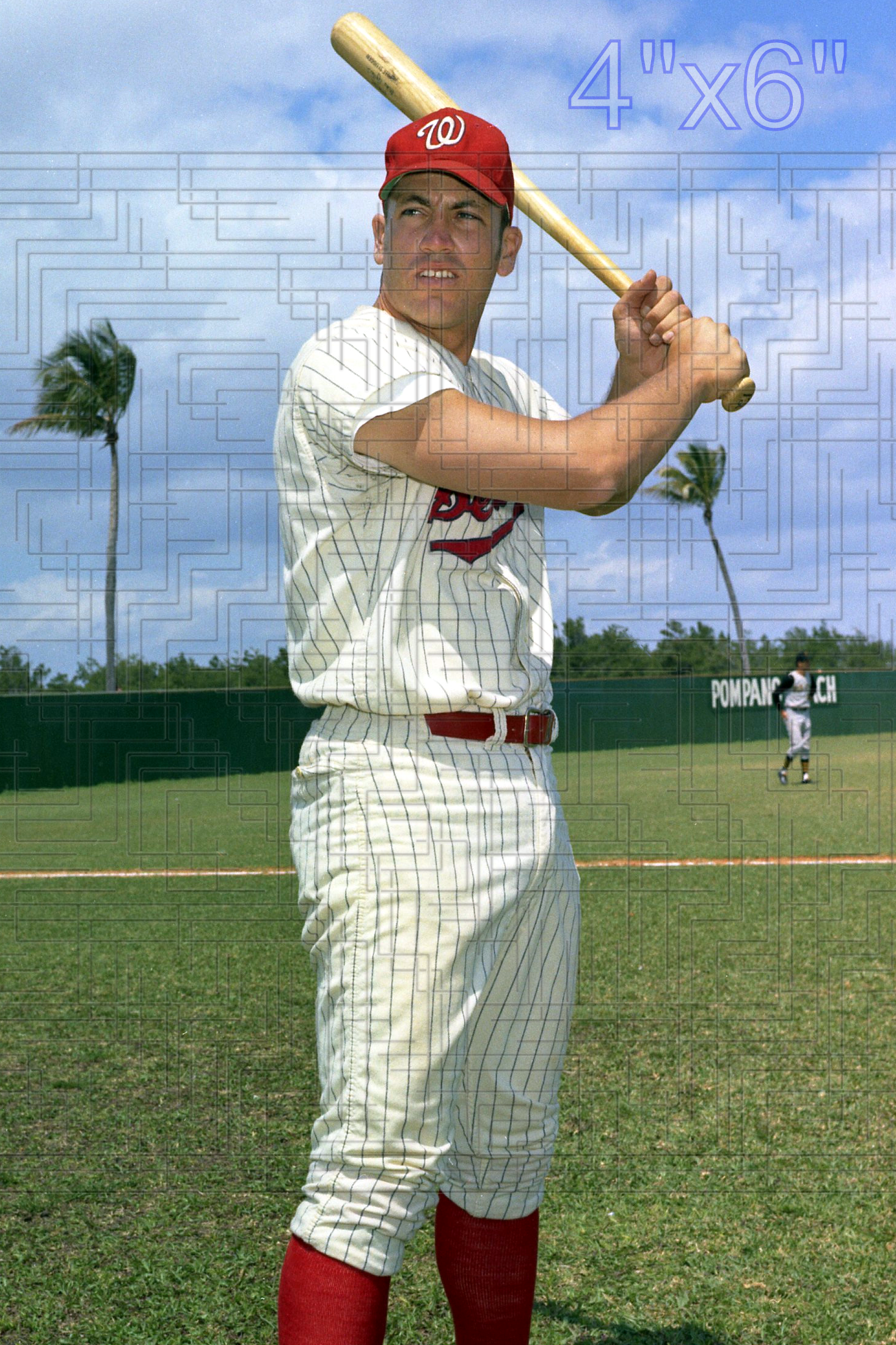 Mike Epstein - 1969 Washington Senators - choose a size & style