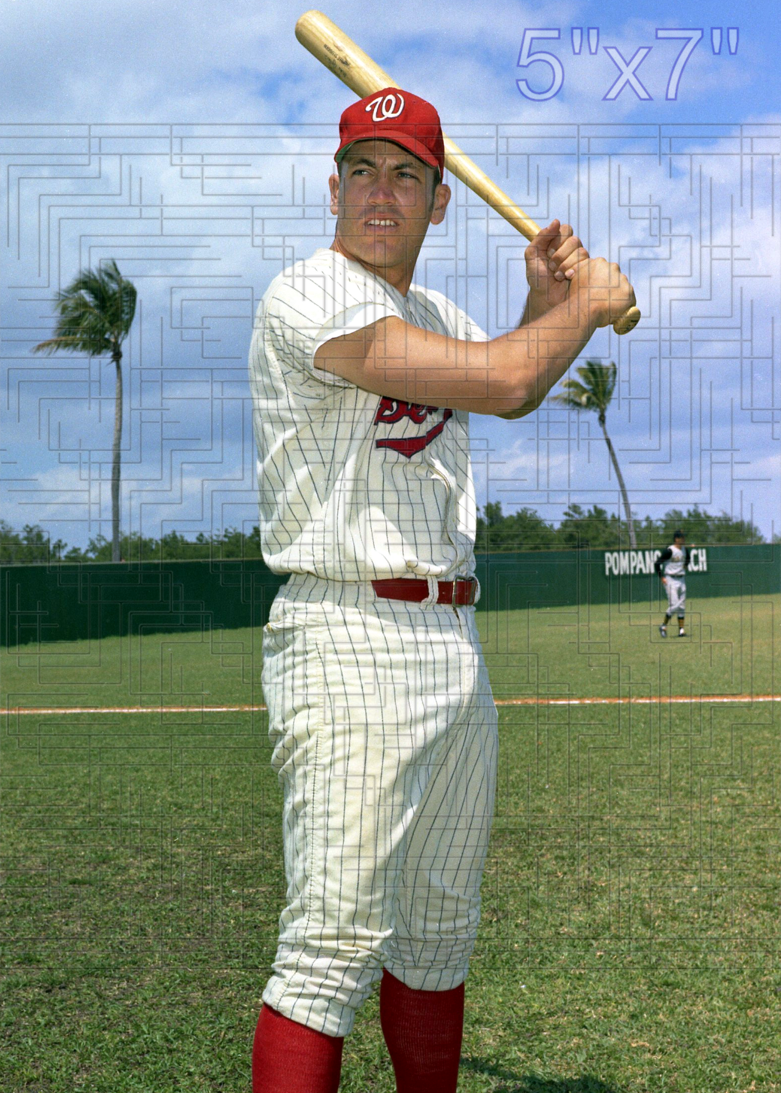 Mike Epstein - 1969 Washington Senators - choose a size & style
