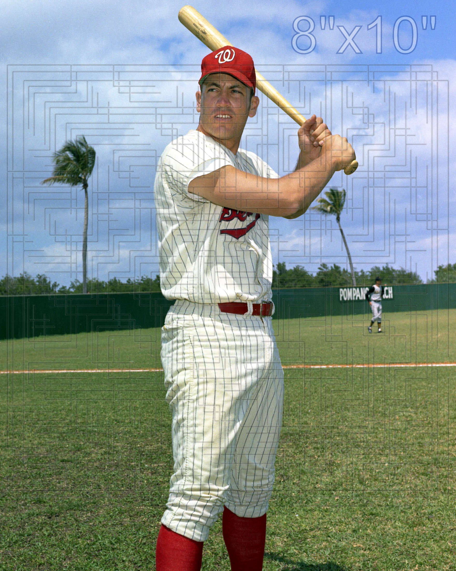 Mike Epstein - 1969 Washington Senators - choose a size & style