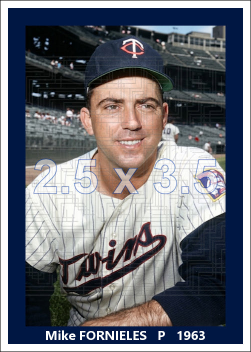 Mike Fornieles - 1963 Minnesota Twins - choose a size & style