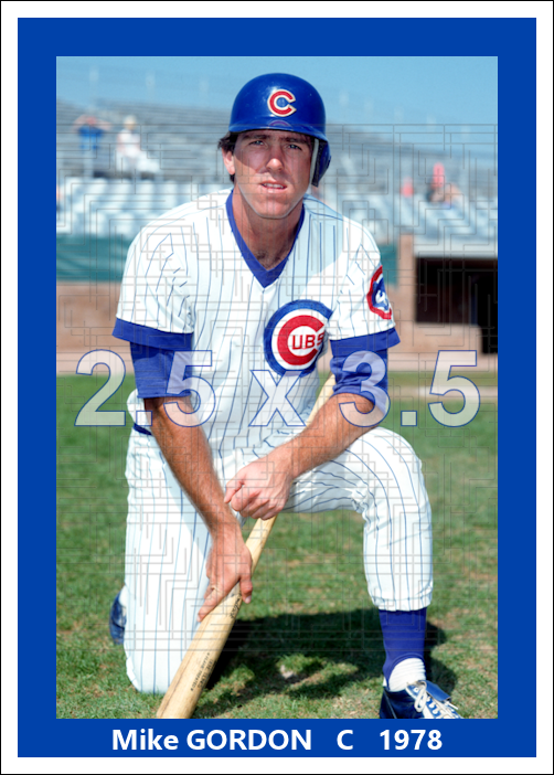 Mike Gordon - 1978 Chicago Cubs - choose a size & style