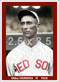 Mike Herrera - 1926 Boston Red Sox - choose a size & style