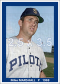 Mike Marshall - 1969 Seattle Pilots - choose a size & style