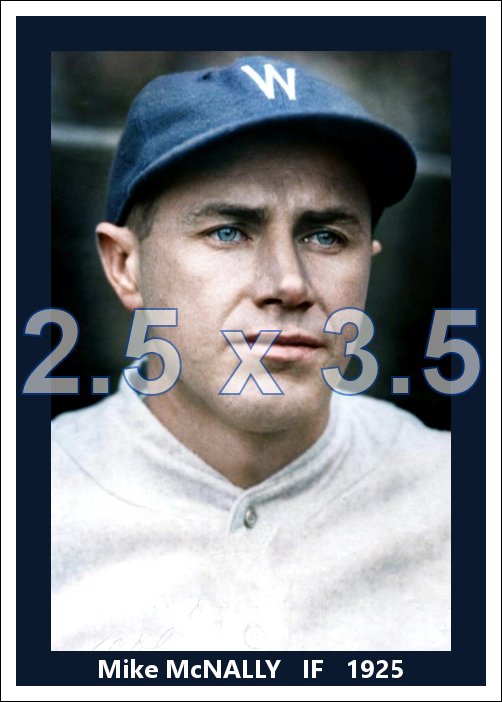Mike McNally - 1925 Washington Senators - choose a size & style