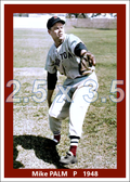 Mike Palm - 1948 Boston Red Sox - choose a size & style