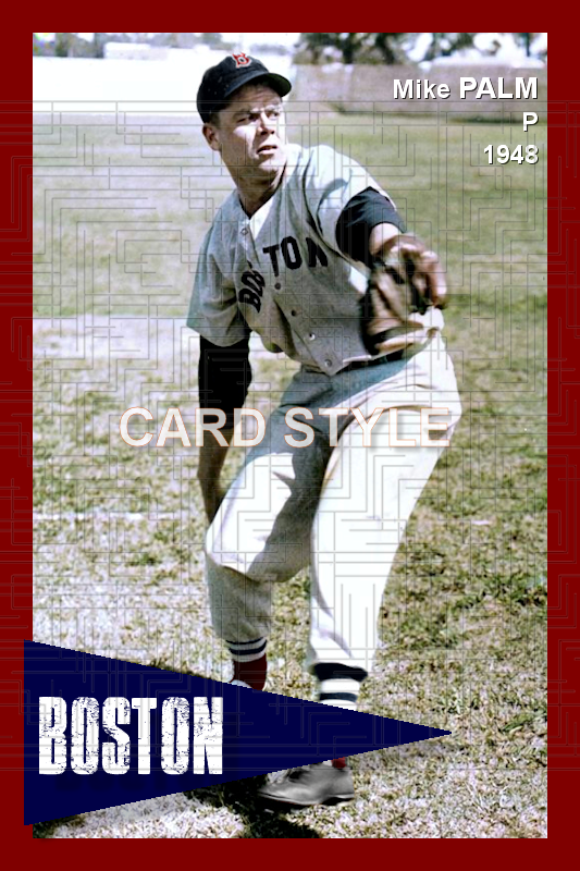 Mike Palm - 1948 Boston Red Sox - choose a size & style