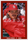 Mike Perez - 1994 St. Louis Cardinals - choose a size & style