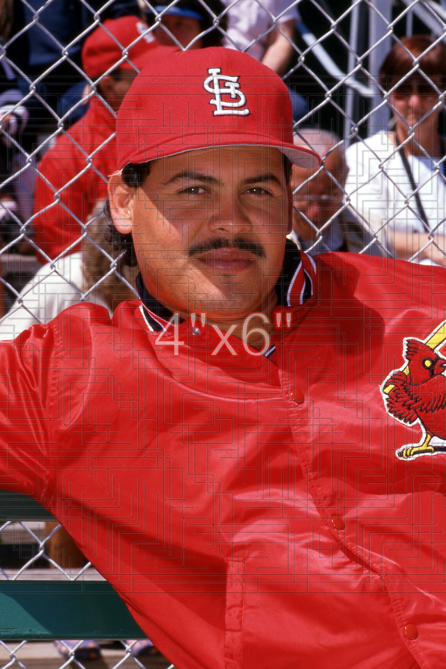 Mike Perez - 1994 St. Louis Cardinals - choose a size & style